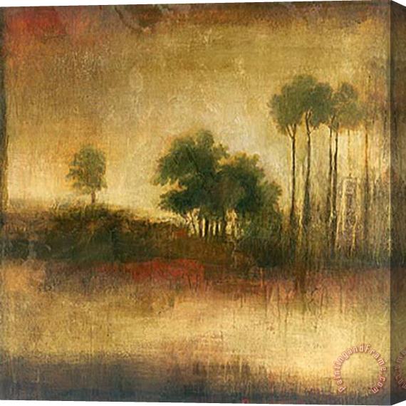 John Douglas Timeless Equinox Stretched Canvas Painting / Canvas Art