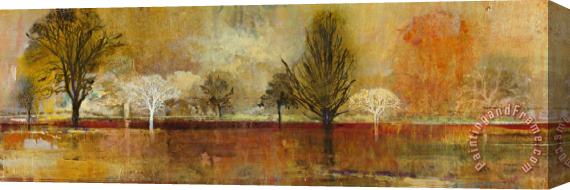 John Douglas Tree Shadows II Stretched Canvas Print / Canvas Art