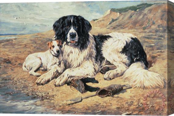 John Emms Dogs Watching Bathers Stretched Canvas Painting / Canvas Art