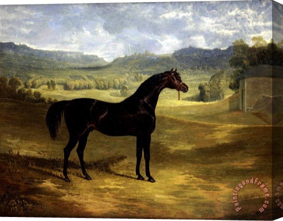 John Frederick Herring Jack Spigot, a Dark Bay Racehorse in a Paddock at Bolton Hall Stretched Canvas Painting / Canvas Art