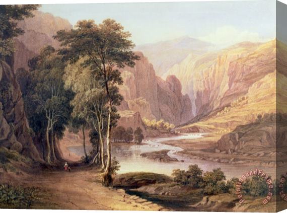 John Glover Tasmanian Gorge Stretched Canvas Print / Canvas Art