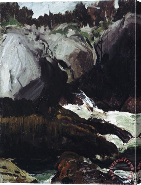 John James Audubon Gorge And Sea 1911 Stretched Canvas Print / Canvas Art
