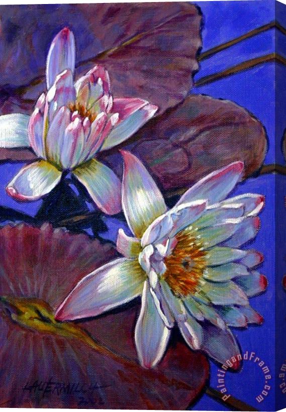 John Lautermilch Two Pink Water Lilies Stretched Canvas Painting / Canvas Art