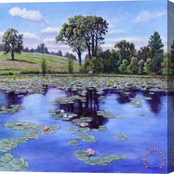 John Lautermilch Wet Land - Shaw Nature Reserve Stretched Canvas Print / Canvas Art