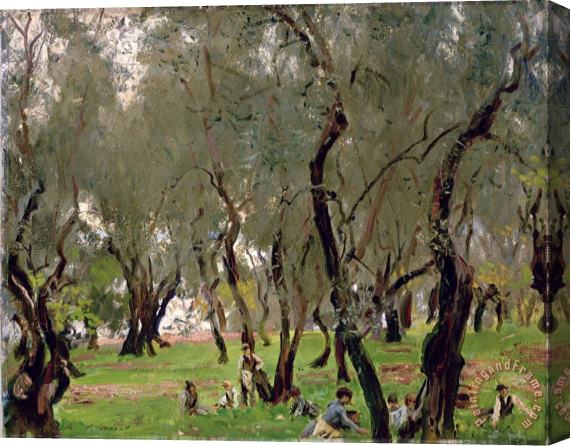 John Singer Sargeant The Olive Grove Stretched Canvas Painting / Canvas Art