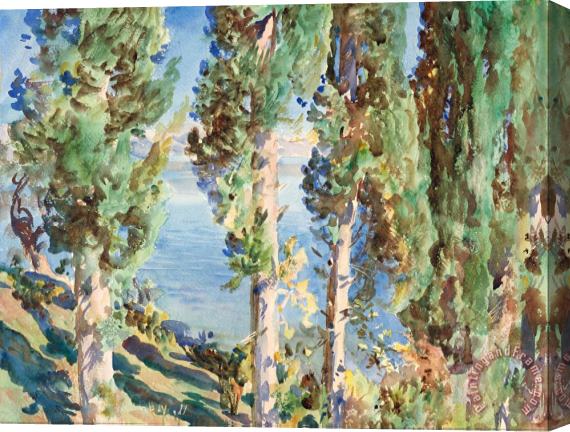 John Singer Sargent Corfu Cypresses Stretched Canvas Print / Canvas Art