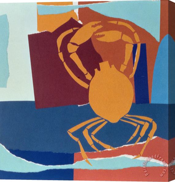 John Wallington Spider Crab Stretched Canvas Print / Canvas Art