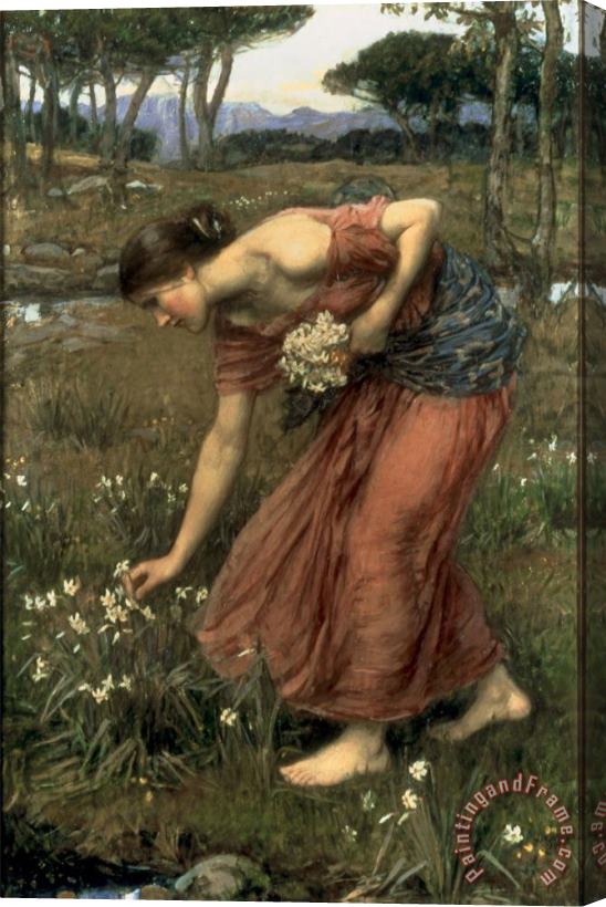 John William Waterhouse Narcissus 1912 Stretched Canvas Print / Canvas Art