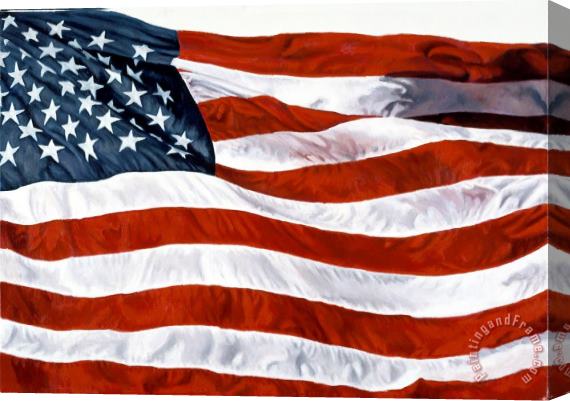 John Zaccheo American Flag Stretched Canvas Painting / Canvas Art
