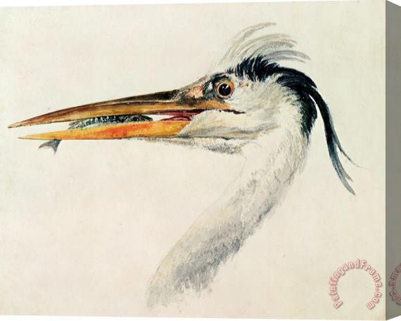 Joseph Mallord William Turner Heron with a Fish Stretched Canvas Painting / Canvas Art