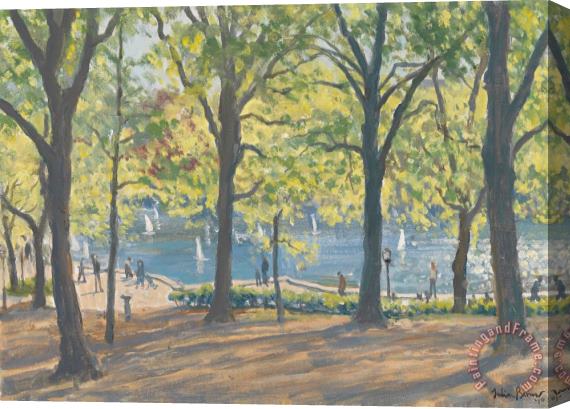 Julian Barrow Central Park New York Stretched Canvas Print / Canvas Art