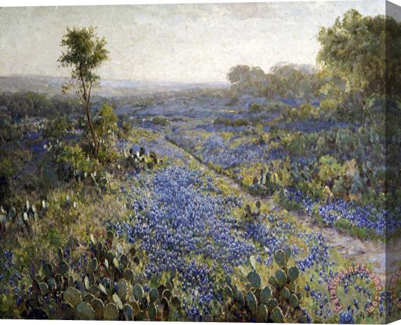Julian Onderdonk Field of Texas Bluebonnets And Prickly Pear Cacti Stretched Canvas Painting / Canvas Art
