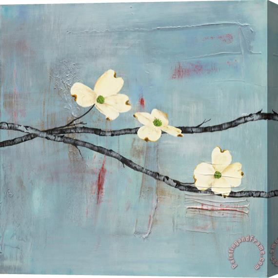 Laura Gunn Dogwood on Blue II Stretched Canvas Painting / Canvas Art