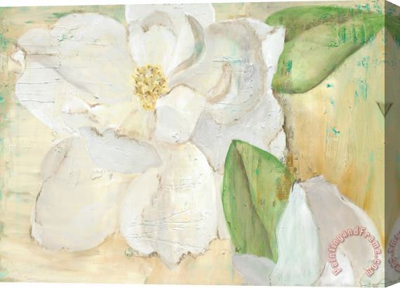 Laura Gunn Magnolias on Yellow Stretched Canvas Print / Canvas Art