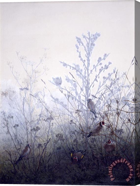 Leon Bonvin Birds Resting on Bushes Stretched Canvas Print / Canvas Art