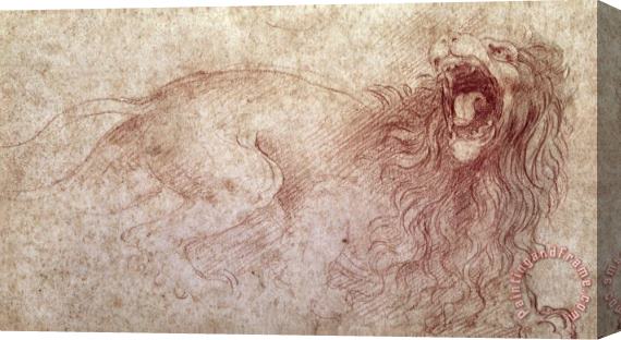 Leonardo da Vinci Sketch Of A Roaring Lion Stretched Canvas Painting / Canvas Art