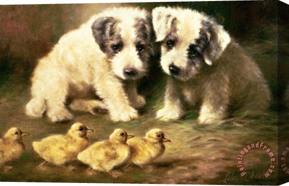 Lilian Cheviot Sealyham Puppies And Ducklings Stretched Canvas Print / Canvas Art