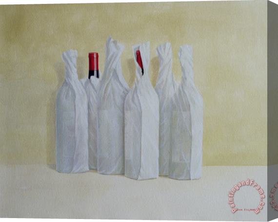 Lincoln Seligman Wrapped Bottles Number 2 Stretched Canvas Print / Canvas Art