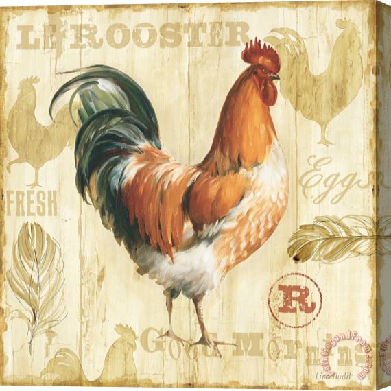 Lisa Audit Joli Rooster I Stretched Canvas Painting / Canvas Art