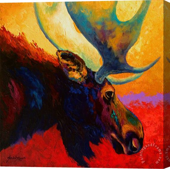 Marion Rose Alaskan Spirit - Moose Stretched Canvas Painting / Canvas Art