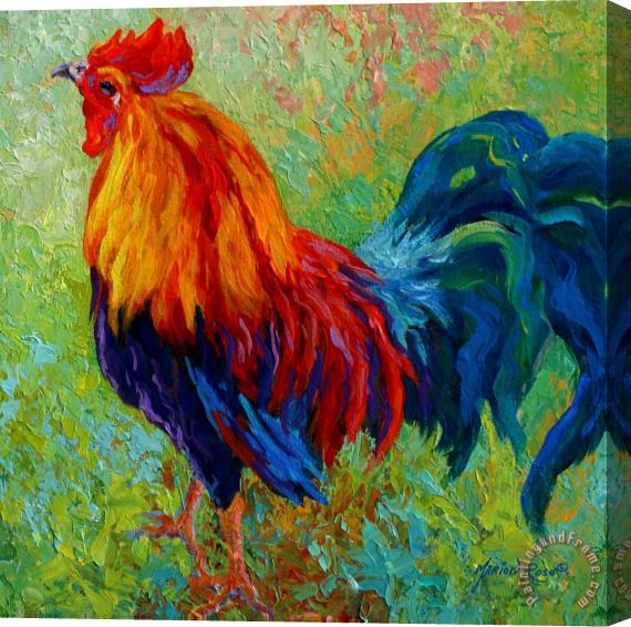 Marion Rose Band Of Gold - Rooster Stretched Canvas Print / Canvas Art