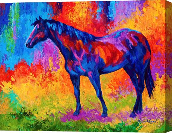 Marion Rose Bay Mare II Stretched Canvas Print / Canvas Art