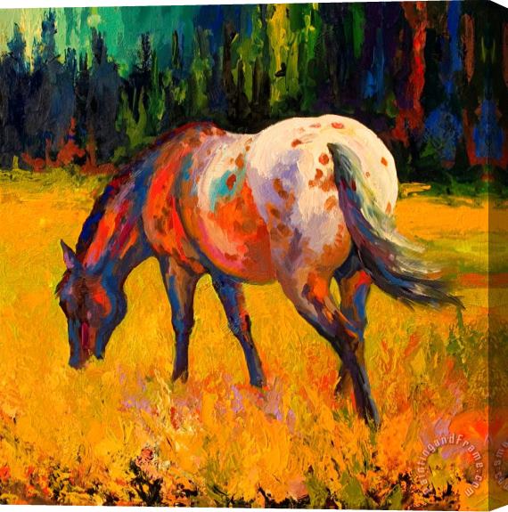 Marion Rose Best End Of An Appy Stretched Canvas Print / Canvas Art