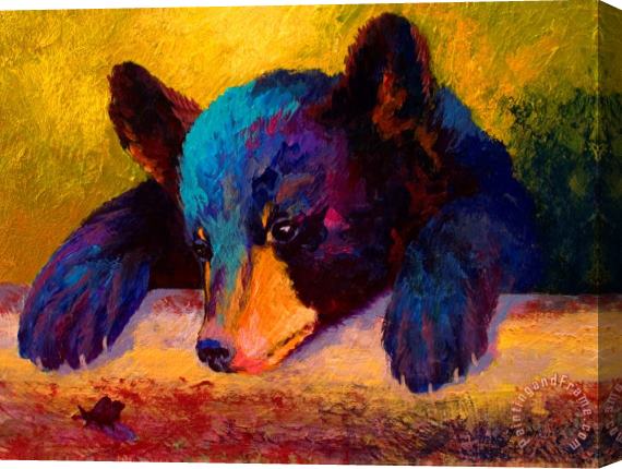 Marion Rose Chasing Bugs - Black Bear Cub Stretched Canvas Painting / Canvas Art