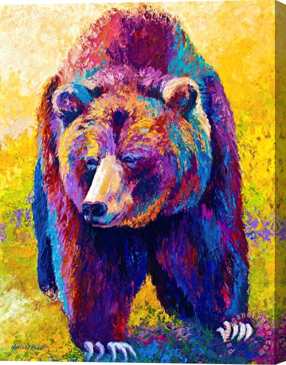 Marion Rose Close Encounter - Grizzly Bear Stretched Canvas Painting / Canvas Art