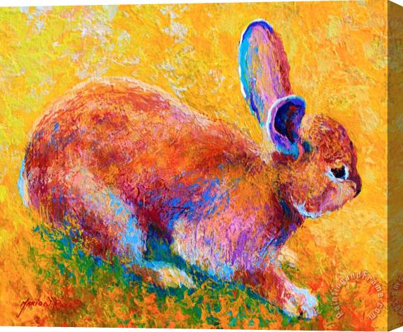 Marion Rose Cottontail II Stretched Canvas Print / Canvas Art