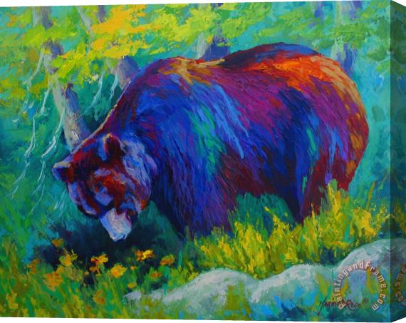 Marion Rose Dandelions For Dinner - Black Bear Stretched Canvas Print / Canvas Art