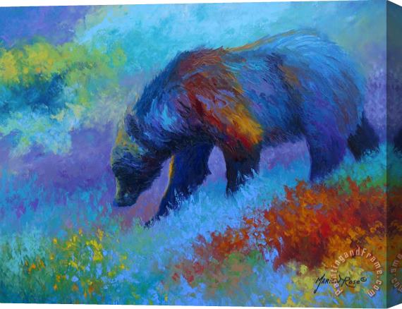Marion Rose Denali Grizzly Bear Stretched Canvas Print / Canvas Art