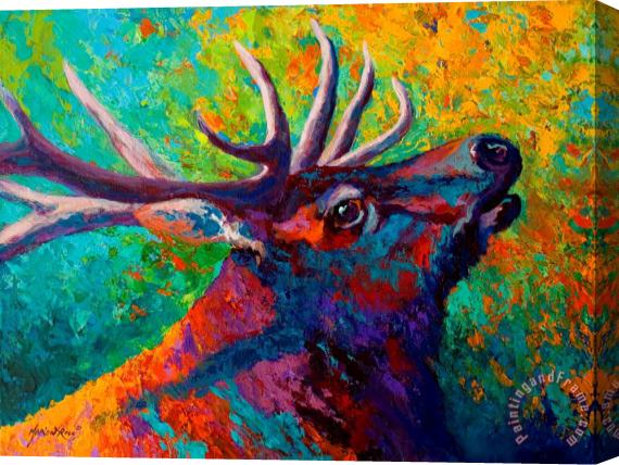 Marion Rose Forest Echo - Bull Elk Stretched Canvas Painting / Canvas Art