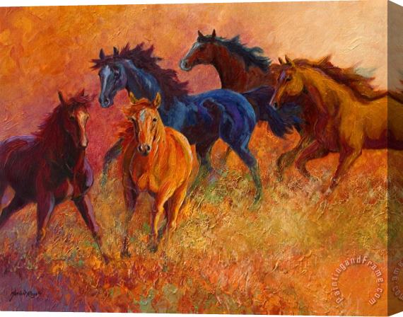 Marion Rose Free Range - Wild Horses Stretched Canvas Painting / Canvas Art
