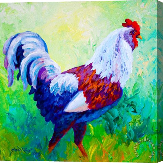 Marion Rose Full Of Himself - Rooster Stretched Canvas Print / Canvas Art