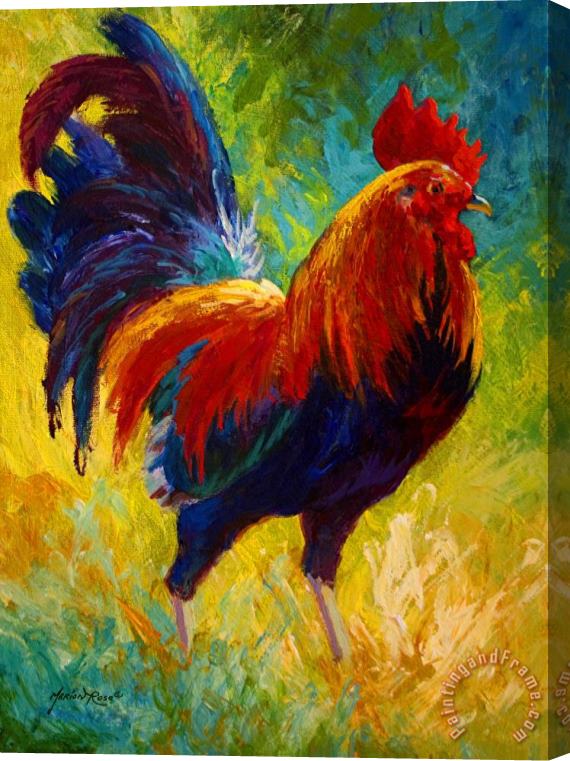 Marion Rose Hot Shot - Rooster Stretched Canvas Painting / Canvas Art
