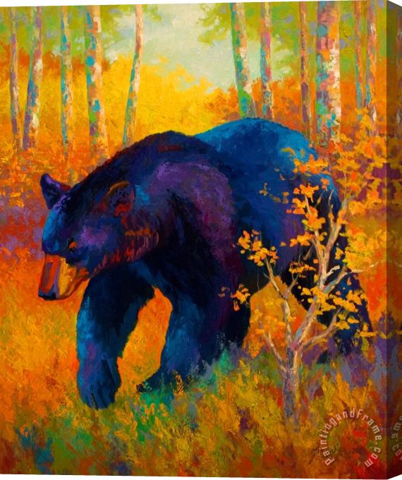 Marion Rose In To Spring - Black Bear Stretched Canvas Print / Canvas Art