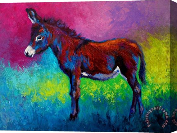 Marion Rose Little Jenny - Burro Stretched Canvas Painting / Canvas Art