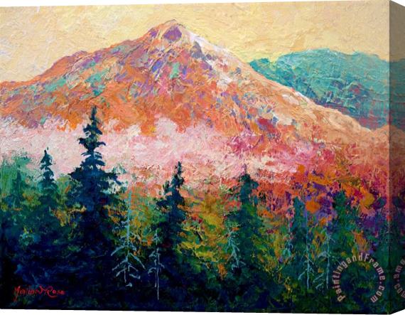 Marion Rose Mountain Sentinel Stretched Canvas Painting / Canvas Art