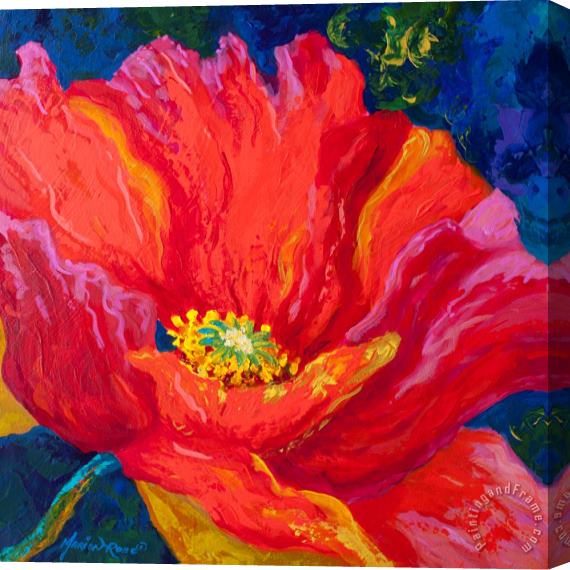 Marion Rose Passion II Stretched Canvas Painting / Canvas Art