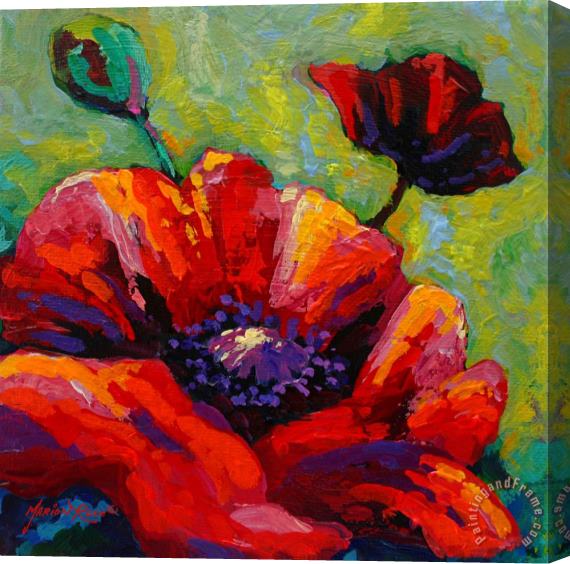 Marion Rose Poppy I Stretched Canvas Painting / Canvas Art