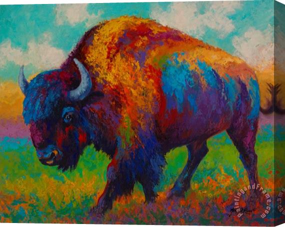 Marion Rose Prairie Muse - Bison Stretched Canvas Print / Canvas Art