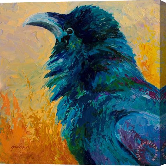 Marion Rose Raven Study Stretched Canvas Print / Canvas Art
