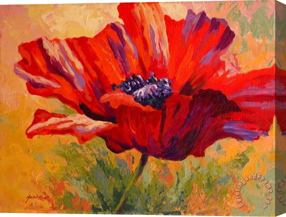 Marion Rose Red Poppy II Stretched Canvas Print / Canvas Art