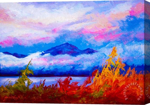 Marion Rose Rythmn Of The Arctic Stretched Canvas Painting / Canvas Art