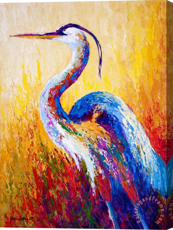 Marion Rose Steady Gaze - Great Blue Heron Stretched Canvas Painting / Canvas Art