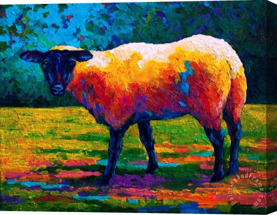 Marion Rose Suffolk Ewe III Stretched Canvas Painting / Canvas Art