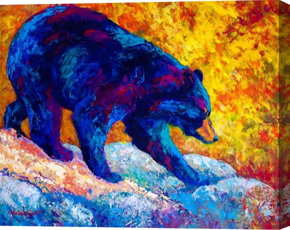 Marion Rose Tentative Step - Black Bear Stretched Canvas Painting / Canvas Art