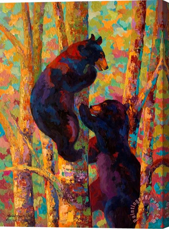 Marion Rose Two High - Black Bear Cubs Stretched Canvas Painting / Canvas Art