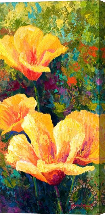 Marion Rose Yellow Field poppies Stretched Canvas Print / Canvas Art